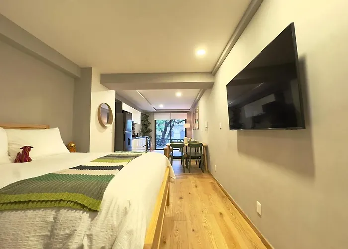 New Loft With Private Patio At Roma Norte