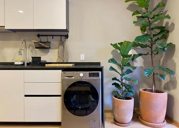 New Loft With Private Patio At Roma Norte * México DF