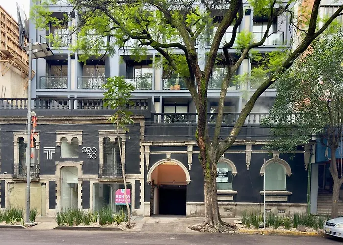 New Loft With Private Patio At Roma Norte México DF